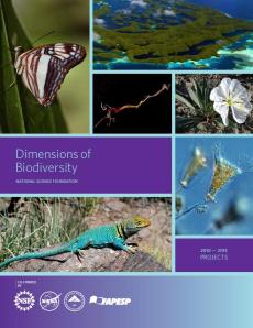 DEB's Dimensions of Biodiversty 2010-2013 abstract book cover.