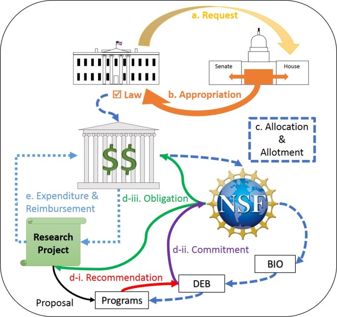 Diagram of the relationship between the annual U.S. Federal budget process and NSF merit review system.